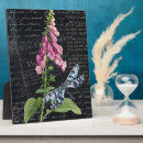 Recherche de papillons plaques Rose