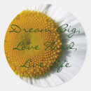 Search for big dreams stickers Cute