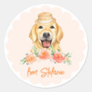 Search for golden retriever stickers Birthday
