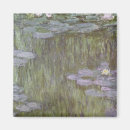 Search for nymphea magnets Waterlilies