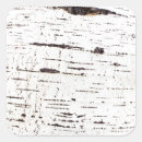 Search for birch bark stickers Forest