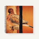 Search for preening Nature