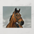 Recherche de cheval de baie posters Portrait