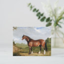 Recherche de étalon cartes postales Cheval