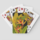 Search for bird playing cards Tropical