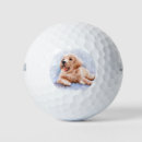 Search for golden retriever golf balls Cute