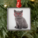 Search for grey cat ornaments Kitten