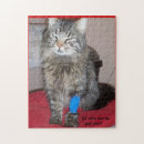 Recherche de image drôle de chat Djoneill