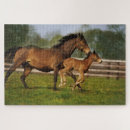 Recherche de sang puzzles Ranch