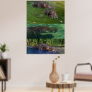 Search for happy hippo posters Animal
