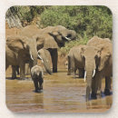 Search for reserve coasters Africa