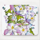 Search for columbines electronics Summer