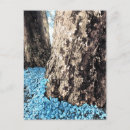 Search for tree trunks postcards Photography