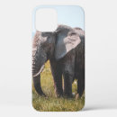 Search for elephant love iphone cases Nature