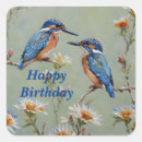 Search for kingfisher stickers Australian