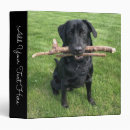 Search for lab binders Retriever