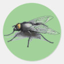 Recherche de fly autocollants Insecte