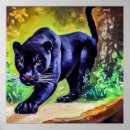 Search for black panther animal posters Feline
