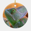 Recherche de cameleon ornements Reptiles