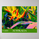 Search for heliconia posters Tropical plant