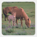 Recherche de mongolie autocollants Faune