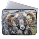 Search for livestock cases Agriculture