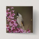 Search for side view buttons Bird