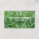 Recherche de champs cartes visite Nature