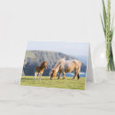 Search for scotland cards Farm