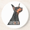 Search for dobe Doberman pinscher