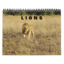 Search for lion calendars Feline