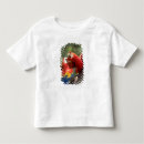Search for scarlet macaws tshirts Wild