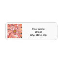 Search for dahlia return address labels Floral