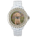 Recherche de vizsla accessoires Chiot