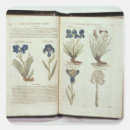 Search for herbalism stickers Plant