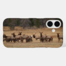 Search for elk phone cases Buck