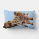 Recherche de girafes drôles coussins Nature