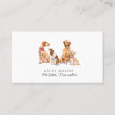 Recherche de chiot mignon Chat