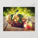 Search for apple basket postcards Apples