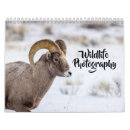 Recherche de faune calendriers Photographie