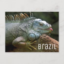 Search for brazil postcards South america