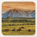 Recherche de bison dessous de verres Paysage