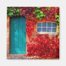Recherche de briques magnets Rouge