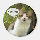 Search for whatever magnets Humour
