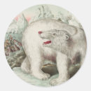 Recherche de ours blanc blanc autocollants Polaire