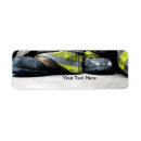 Search for fighter return address labels Fire