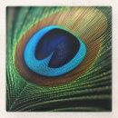 Recherche de peacock dessous de verres Oiseau