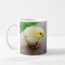 Search for yellow chicks mugs Animal
