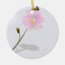 Search for petals ornaments Pretty