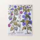 Recherche de racines puzzles Feuille